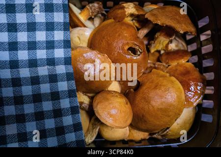 Champignons boletus frais recueillis dans un panier recouvert de tissu à carreaux, champignons comestibles de la récolte forestière d'automne. Banque D'Images