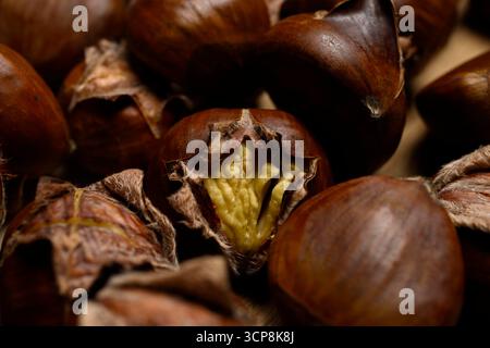 Esskastanien eröffnen die Herbstsaison in Deutschland , Deutschland, 24.09.2025, Zu sehen sind Esskastanien Maroni in Nahaufnahme, teils roh, teils geröstet und aufgebrochen. Fotografiert AM 24. Septembre 2025 dans Deutschland im Studio. Die motive stehen für Herbst, Erntezeit und traditionelle Küche. *** Châtaignes ouvertes la saison d'automne en Allemagne , Allemagne, 24 09 2025, sur l'exposition sont des châtaignes Maroni en gros plan, en partie crues, en partie torréfiées et cassées photographiées le 24 septembre 2025 en Allemagne dans le studio les motifs représentent l'automne, la récolte et la cuisine traditionnelle Banque D'Images