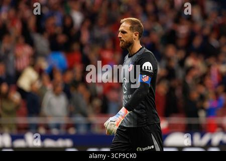Madrid, Espagne. 24 septembre 2025. Jan Oblak de l'Atletico de Madrid vu lors de la partie SPORTIVE LaLiga EA entre les équipes de l'Atletico de Madrid et du Rayo Vallecano au Riyad Air Metropolitano. Score final Atletico de Madrid 3 : 2 Rayo Vallecano crédit : SOPA images Limited/Alamy Live News Banque D'Images