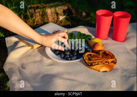 La main de la femme atteint pour les bleuets frais sur une couverture beige avec une assiette de baies, un chignon, des verres et un livre, créant un pique-nique d'été confortable encore l Banque D'Images