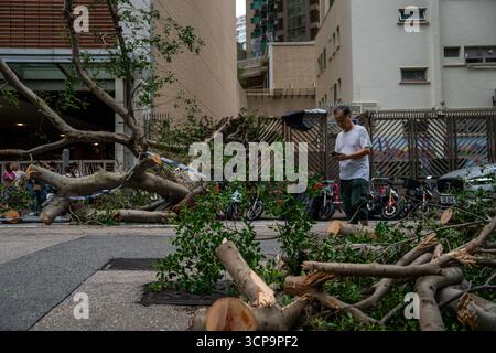 Hong Kong, Hong Kong. 25 septembre 2025. Un arbre tombé sur la route le 24 septembre 2025 à Hong Kong. (Crédit image : © Vernon Yuen/Nexpher images via ZUMA Press Wire) USAGE ÉDITORIAL SEULEMENT ! Non destiné à UN USAGE commercial ! Banque D'Images