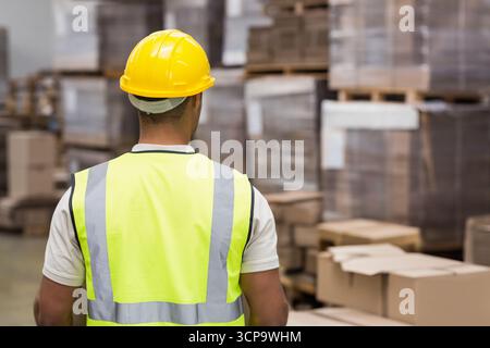 Ouvrier masculin d'entrepôt portant un casque jaune et un gilet, inspectant des boîtes sur des palettes dans l'entrepôt Banque D'Images
