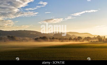 Golden Morning Mist sur de larges terres agricoles et lointaines Hills Banque D'Images