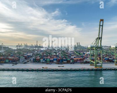 Singapour, Singapour - 06 décembre 2024 : vue aérienne du terminal de Pasir Panjang, une tentaculaire tapisserie de conteneurs empilés baignée d'une lumière douce sur fond de grues imposantes. Banque D'Images
