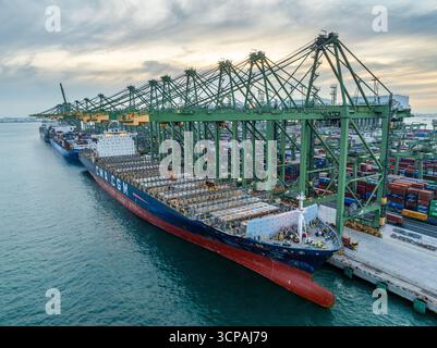 Singapour, Singapour - 06 décembre 2024 : vue aérienne de cargos colossaux amarrés au terminal de Pasir Panjang, leurs coques contrastent fortement avec les grues verdoyantes sous un ciel silencieux. Banque D'Images