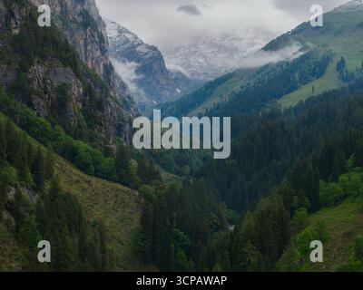 Vue aérienne de la forêt dense et verdoyante et des montagnes escarpées partiellement couvertes de nuages, Sethan, Himachal Pradesh, Inde. Banque D'Images
