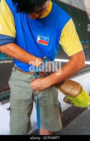 Un jeune pelotari philippin montrant comment enfiler sa cesta à un fronton Jai Alai à Cebu City, Philippines Banque D'Images