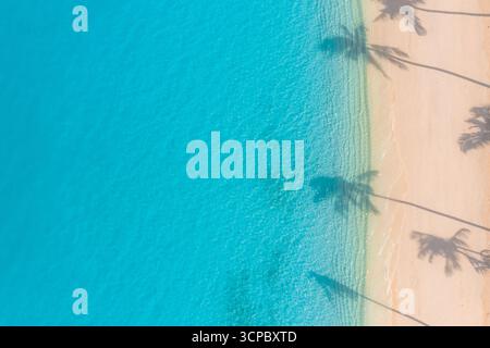 Fantastique vue aérienne des palmiers ensoleillés ombres plage de sable plage tropicale nature paradis bleu paysage de ciel de mer. Vue sur les drones exotiques, vue sur les vagues de la mer Banque D'Images