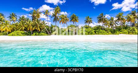 Pittoresque plage paradisiaque avec lagon océanique tranquille, sable doux, palmiers, ciel bleu ensoleillé, paysage tropical d'été, destination de vacances populaire Banque D'Images
