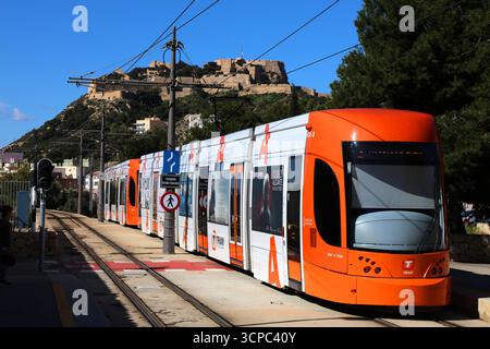 ALICANTE, ESPAGNE - 16 AVRIL 2025 : tramway électrique des transports en commun avec le château de Santa Barbara en arrière-plan dans la ville d'Alicante en Valence Comm Banque D'Images