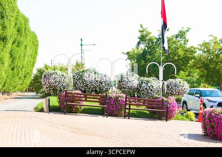 Scène paisible du parc avec des bancs en bois entourés de fleurs vibrantes et des drapeaux des Émirats arabes Unis en arrière-plan. Parc public Banque D'Images