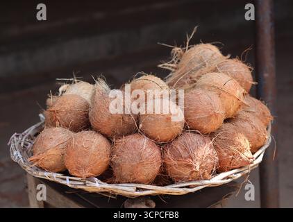 Noix de coco pelées exposées à la vente dans un panier tissé traditionnel. Banque D'Images