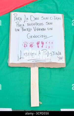 Buenos Aires, Argentine ; 23 septembre 2025 : affiche pour la défense des Palestiniens : pour l'ONU, ce ne sont que des chiffres, mais pour nous, ce sont des témoins Banque D'Images