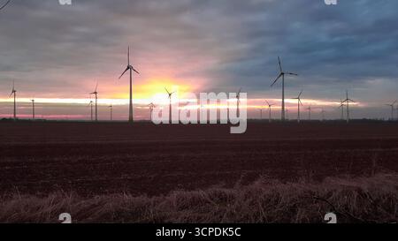 Éoliennes dans le Magdebourg Börde, Allemagne, silhouettées sur le ciel du coucher du soleil Banque D'Images