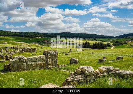 Ruines romaines, Madaure, Souk Ahras, Algérie Banque D'Images