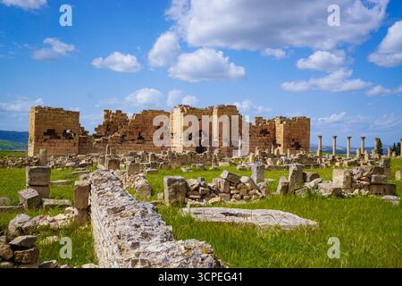 Ruines romaines, Madaure, Souk Ahras, Algérie Banque D'Images