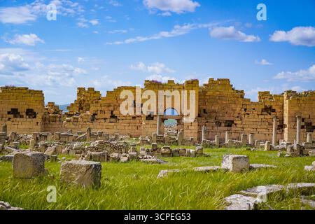 Ruines romaines, Madaure, Souk Ahras, Algérie Banque D'Images