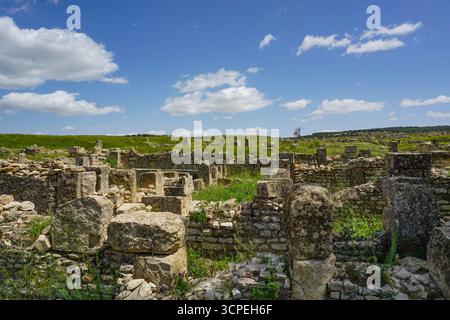 Ruines romaines, Madaure, Souk Ahras, Algérie Banque D'Images