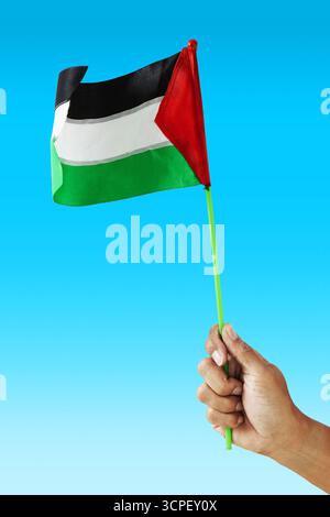 Une main tient un petit drapeau palestinien aux couleurs noir, blanc, vert et rouge sur un bâton vert, symbolisant l’identité, la fierté et la solidarité Banque D'Images