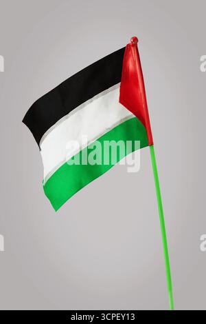 Un petit drapeau palestinien aux couleurs noir, blanc, vert et rouge sur un bâton vert, symbolisant l’identité, la fierté et la solidarité Banque D'Images