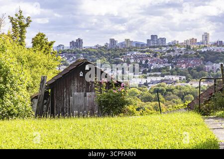 Vue des immeubles à Neugereut. Jardin de lotissement sur le Schnarrenberg avec abri de jardin à la fin de l'été. Stuttgart, Bade-Wuerttemberg, Allemagne Banque D'Images