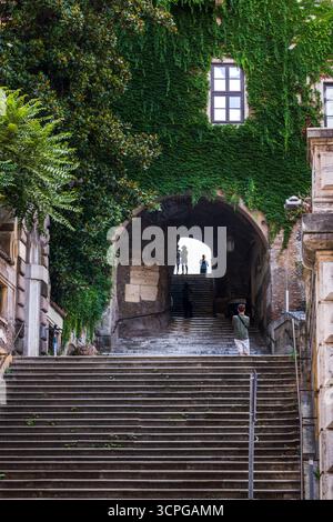 Photo de l'escalier en pierre recouvert de lierre et de l'arche à Rome Banque D'Images