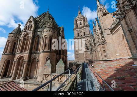 Traversée de la tour et du clocher de la vieille Cathédrale vu de son toit. Salamanque, Castille-et-León, Espagne Banque D'Images