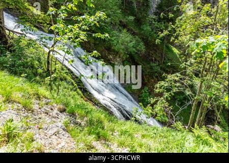 Wasserlochklamm dispose d'une cascade étonnante descendant en cascade des roches blanches lisses au milieu d'un feuillage vert vibrant, créant une scène naturelle paisible et il Banque D'Images