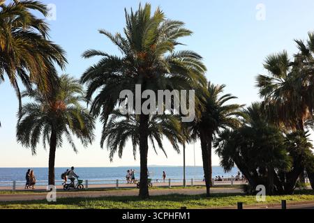 Nice, France - 30 août 2025 : de beaux palmiers verts et des gens près de la mer Banque D'Images