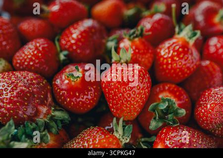 Fond de fraise rouge frais. Gros plan sur les fraises, photographie haute résolution. Banque D'Images