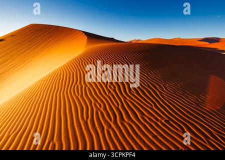 Une photo de paysage de dunes de sable avec un ciel bleu clair au-dessus, mettant en valeur la beauté naturelle et les motifs formés par le vent et le sable. Banque D'Images