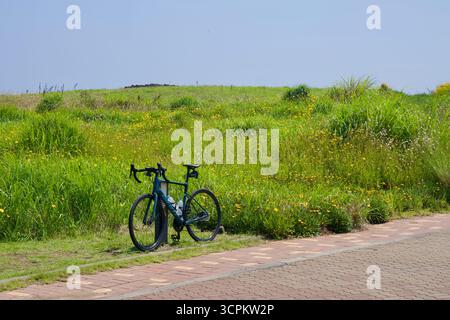 Un vélo de route repose à côté d'une prairie de fleurs sauvages sur la promenade Seopjikoji, avec de hautes herbes et des fleurs jaunes bordant le chemin pavé par un été calme Banque D'Images