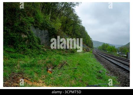 Vue dégagée sur le site abandonné de la gare ferroviaire d'Eastwood dans le Yorkshire, montrant des voies envahies par la végétation, des collines luxuriantes et un mur de soutènement. Banque D'Images