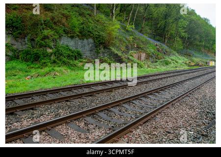Des pistes traversent le site abandonné de la gare ferroviaire d'Eastwood, flanqué d'un mur de soutènement, d'une colline boisée et de notes de bluebells. Banque D'Images