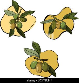 Ensemble isolé de branches de baies d'olivier. Illustration vectorielle en couleur à l'encre de la ligne graphique. Pour créer des logos, des motifs, des cartes de vœux, des invitations de mariage. Vect Illustration de Vecteur