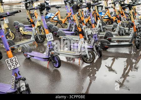 25 août 2025, Moscou, Russie. Plusieurs scooters électriques sont stationnés au hasard à côté d'une flaque d'eau sur un trottoir humide, mettant en valeur le temps pluvieux Banque D'Images