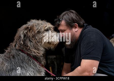 Homme et grand chien touchant doucement le nez, montrant l'amour et la connexion Banque D'Images