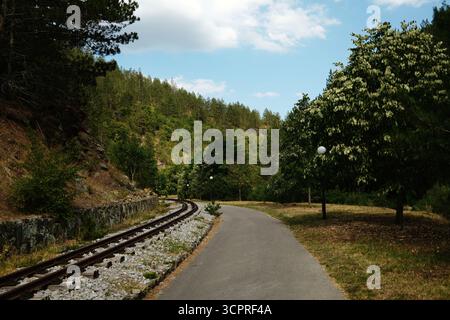 Voie ferrée panoramique qui traverse la forêt de Mokra Gora, Serbie, sous un ciel bleu vif. Banque D'Images