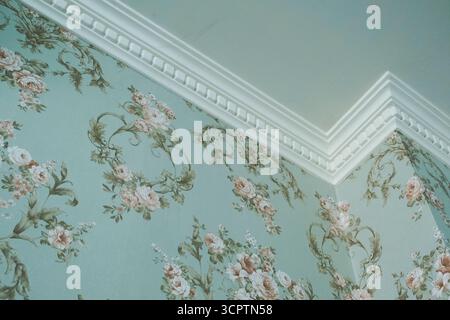 Le fond de papier peint est illustré et floral. Banque D'Images