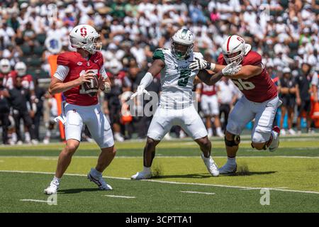 Redshirt quarterback senior #15 pour Stanford est prêt à lancer lors d'un match à enjeux élevés contre Hawaii. Idéal pour les images éditoriales sportives et NCAA. Banque D'Images