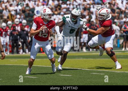 Redshirt quarterback senior #15 pour Stanford est prêt à lancer lors d'un match à enjeux élevés contre Hawaii. Idéal pour les images éditoriales sportives et NCAA. Banque D'Images
