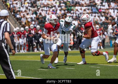 Redshirt quarterback senior #15 pour Stanford est prêt à lancer lors d'un match à enjeux élevés contre Hawaii. Idéal pour les images éditoriales sportives et NCAA. Banque D'Images