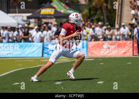 Redshirt quarterback senior #15 pour Stanford est prêt à lancer lors d'un match à enjeux élevés contre Hawaii. Idéal pour les images éditoriales sportives et NCAA. Banque D'Images