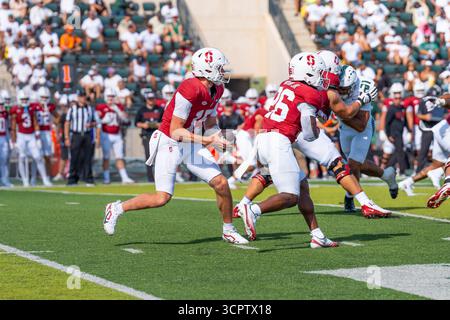 Redshirt quarterback senior #15 pour Stanford est prêt à lancer lors d'un match à enjeux élevés contre Hawaii. Idéal pour les images éditoriales sportives et NCAA. Banque D'Images