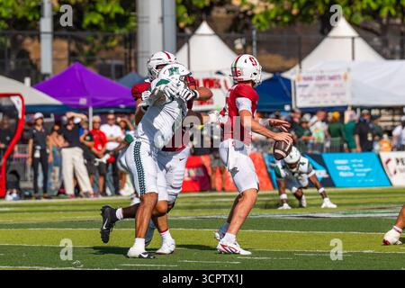 Redshirt quarterback senior #15 pour Stanford est prêt à lancer lors d'un match à enjeux élevés contre Hawaii. Idéal pour les images éditoriales sportives et NCAA. Banque D'Images