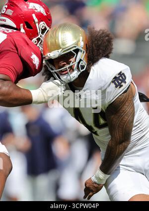 27 septembre 2025 : le lineman défensif de notre Dame Junior Tuihalamaka (44 ans) arrive sur la ruée. Norte Dame a battu l'Arkansas 56-13 à Fayetteville, AR. Richey Miller/CSM Banque D'Images