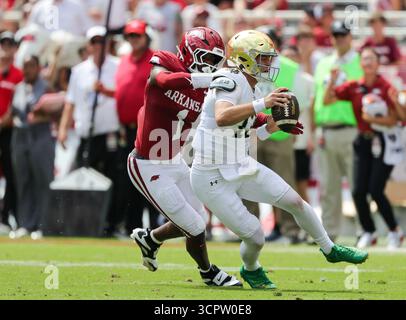 27 septembre 2025 : Phillip Lee (1) Razorback défensive lineman travaille à faire tomber CJ Carr (13) notre Dame quarterback. Norte Dame a battu l'Arkansas 56-13 à Fayetteville, AR. Richey Miller/CSM Banque D'Images