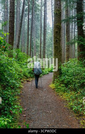 Un randonneur avec un grand sac à dos et des bâtons de trekking marche le long d'un sentier à travers une forêt dense. Banque D'Images