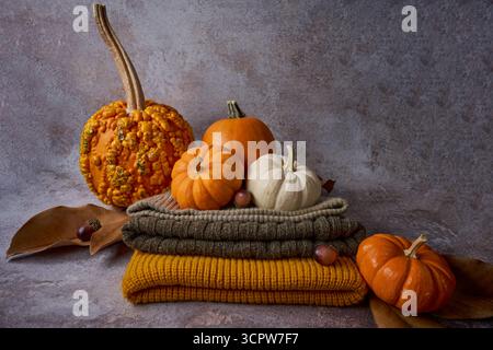 Nature morte d'automne avec gourde verdoyante et mini citrouilles orange et blanches sur des chapeaux en tricot pliés, avec des feuilles séchées et des glands sur un fond texturé Banque D'Images