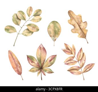 Retour à l'école. Aquarelle dessinée à la main clip art avec des feuilles .automne. Éléments d'école mignons pour les enfants Banque D'Images